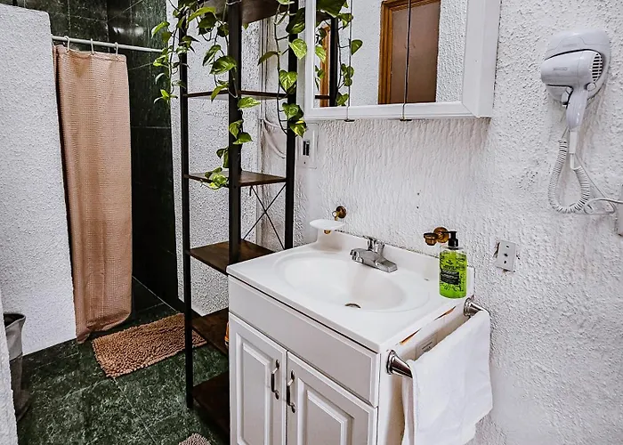 Apartamento Habitación Con Baño Privado B, Centro De Coyoacán *