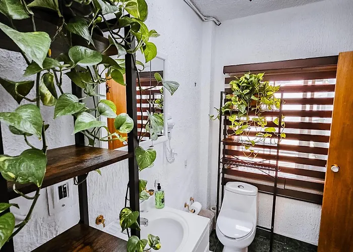 Habitación Con Baño Privado B, Centro De Coyoacán Apartamento México DF